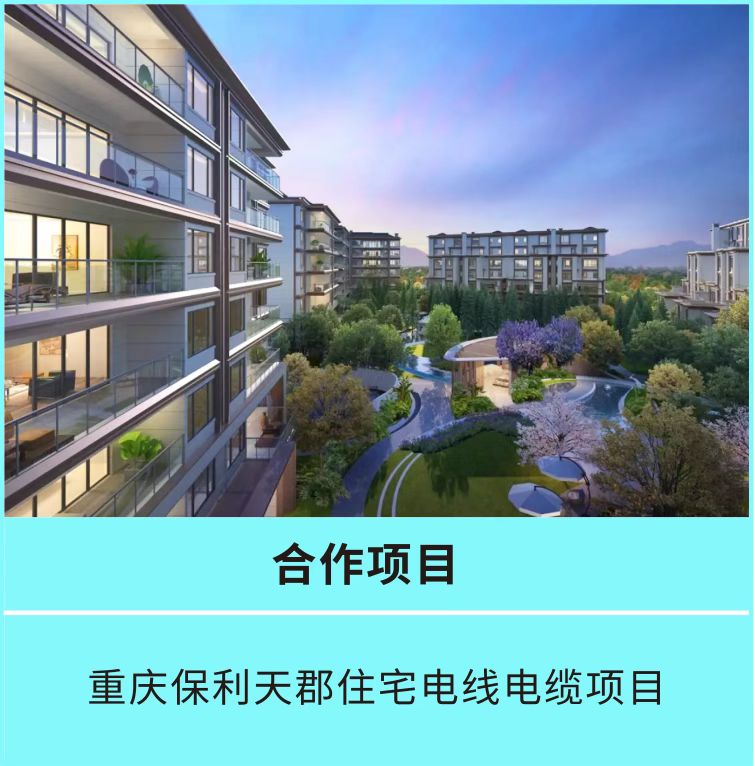 保利天郡项目合作
