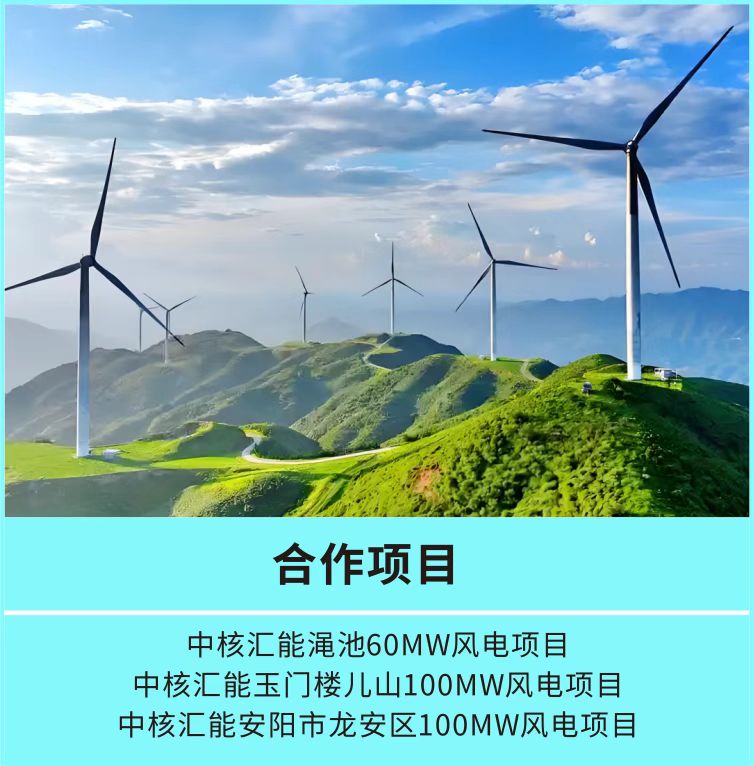 中核项目合作